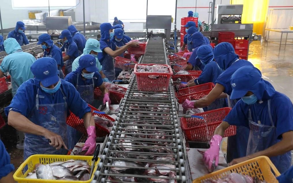 Nhà máy chế biến hải sản