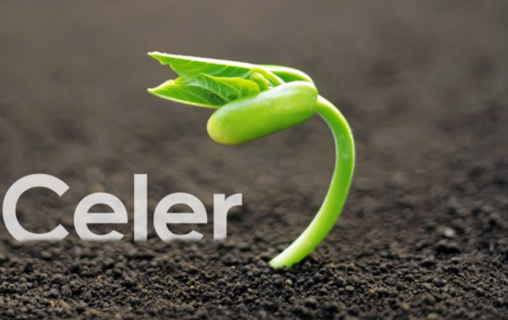 Lợi ích của Celer Network